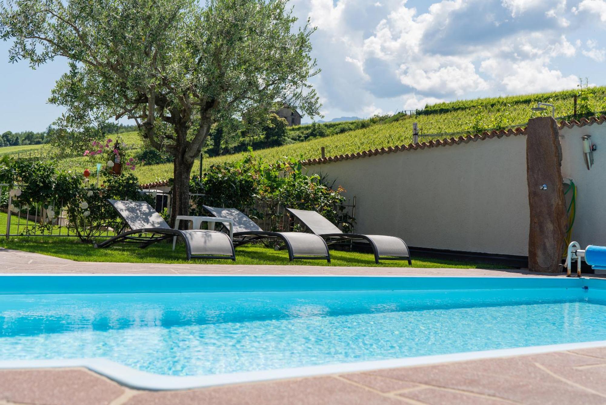 Ferienwohnungen Lanserhof Апп'яно-сулла-Страда-дель-Віно Екстер'єр фото