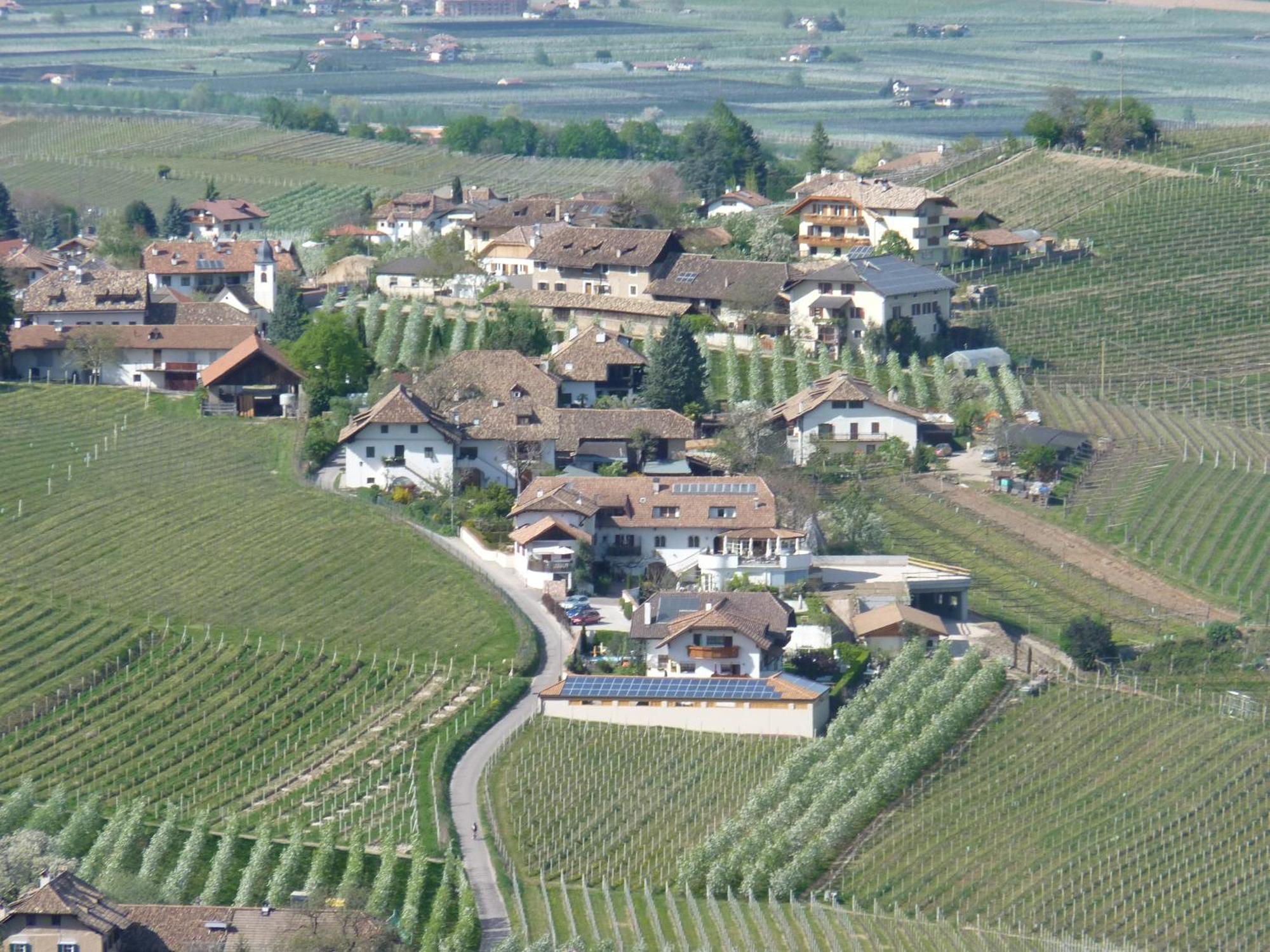 Ferienwohnungen Lanserhof Апп'яно-сулла-Страда-дель-Віно Екстер'єр фото